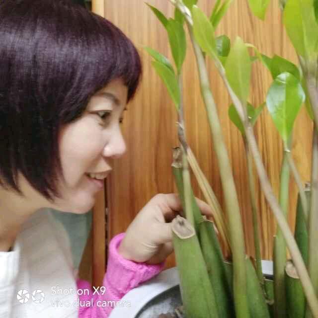 红太阳000