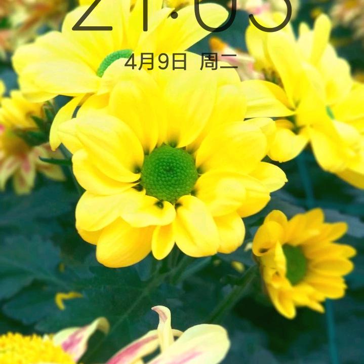 涂贵林