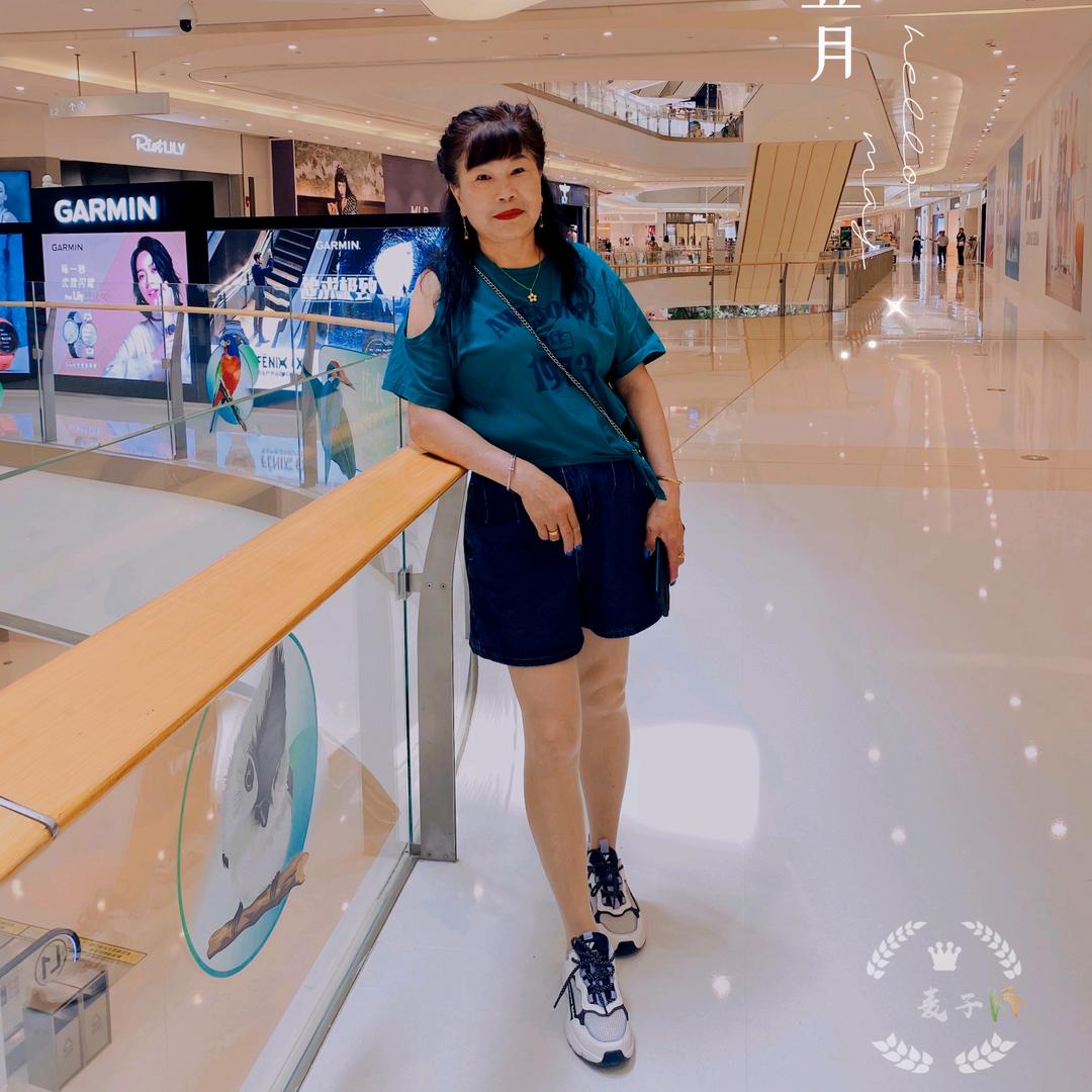 巧燕520