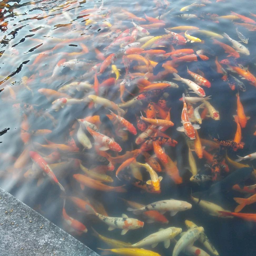 雲三少