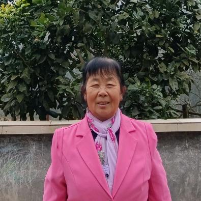 向大姐