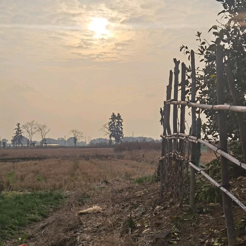 新余电脑打印机弱电安防监控音响LED大屏