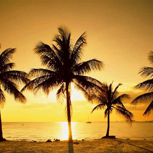 牵着蜗牛跑马拉松