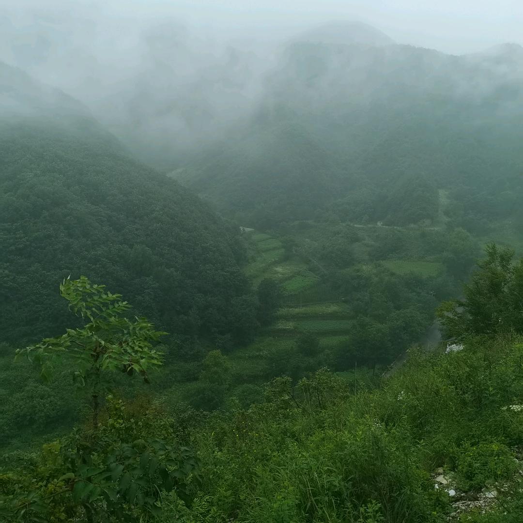 努力💪奋斗💪