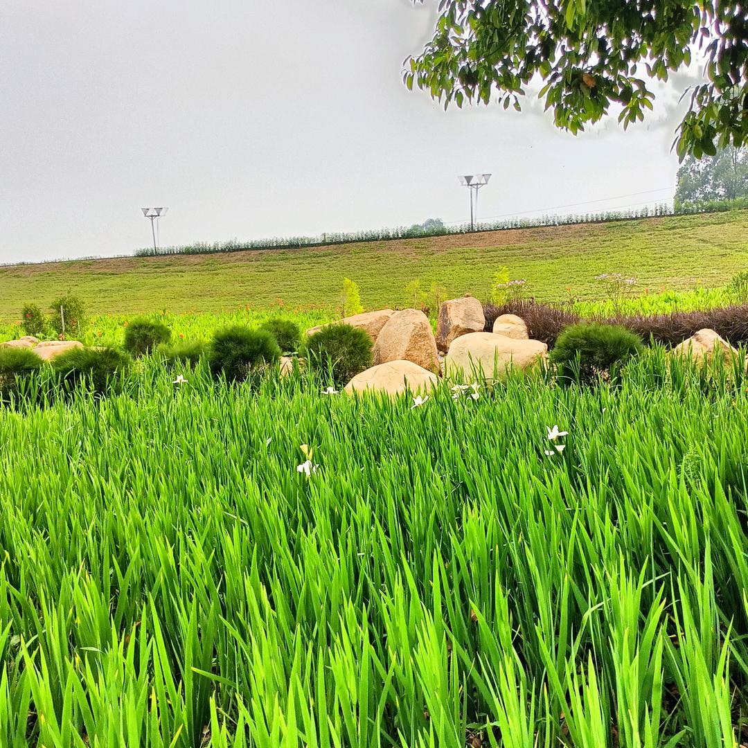 我的梦想成真✌(̿▀̿ ̿Ĺ̯̿̿▀̿