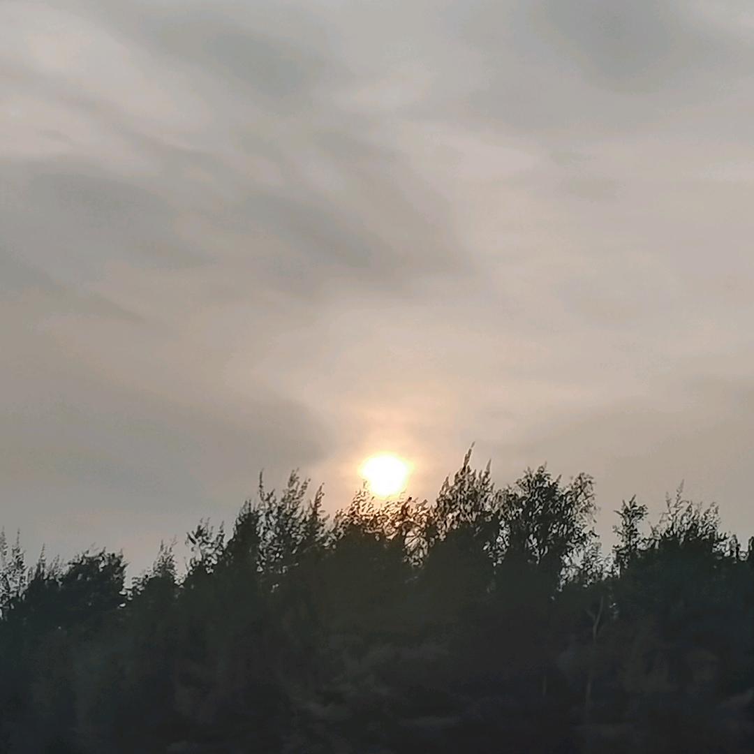老龚，
