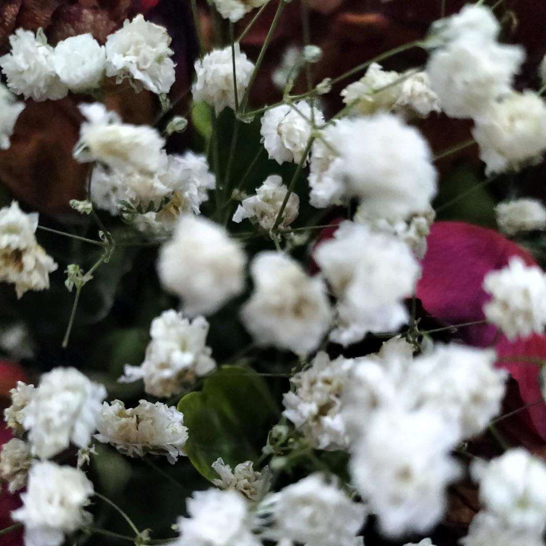 宣传酒文化的王二姐