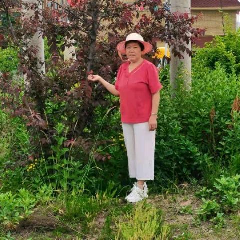 苦中有甜