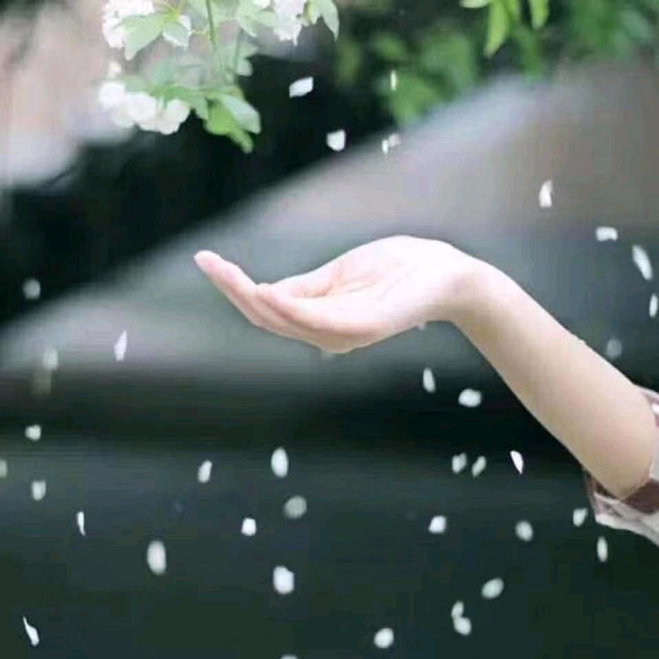 红英