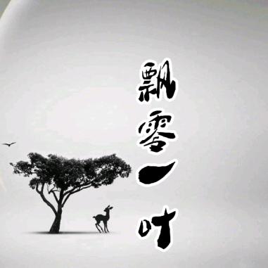飘零一叶