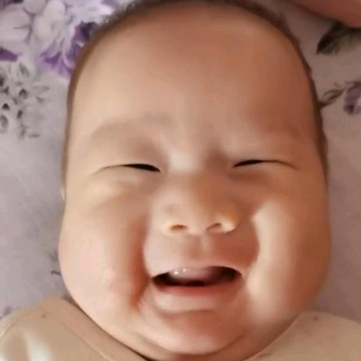 催芹