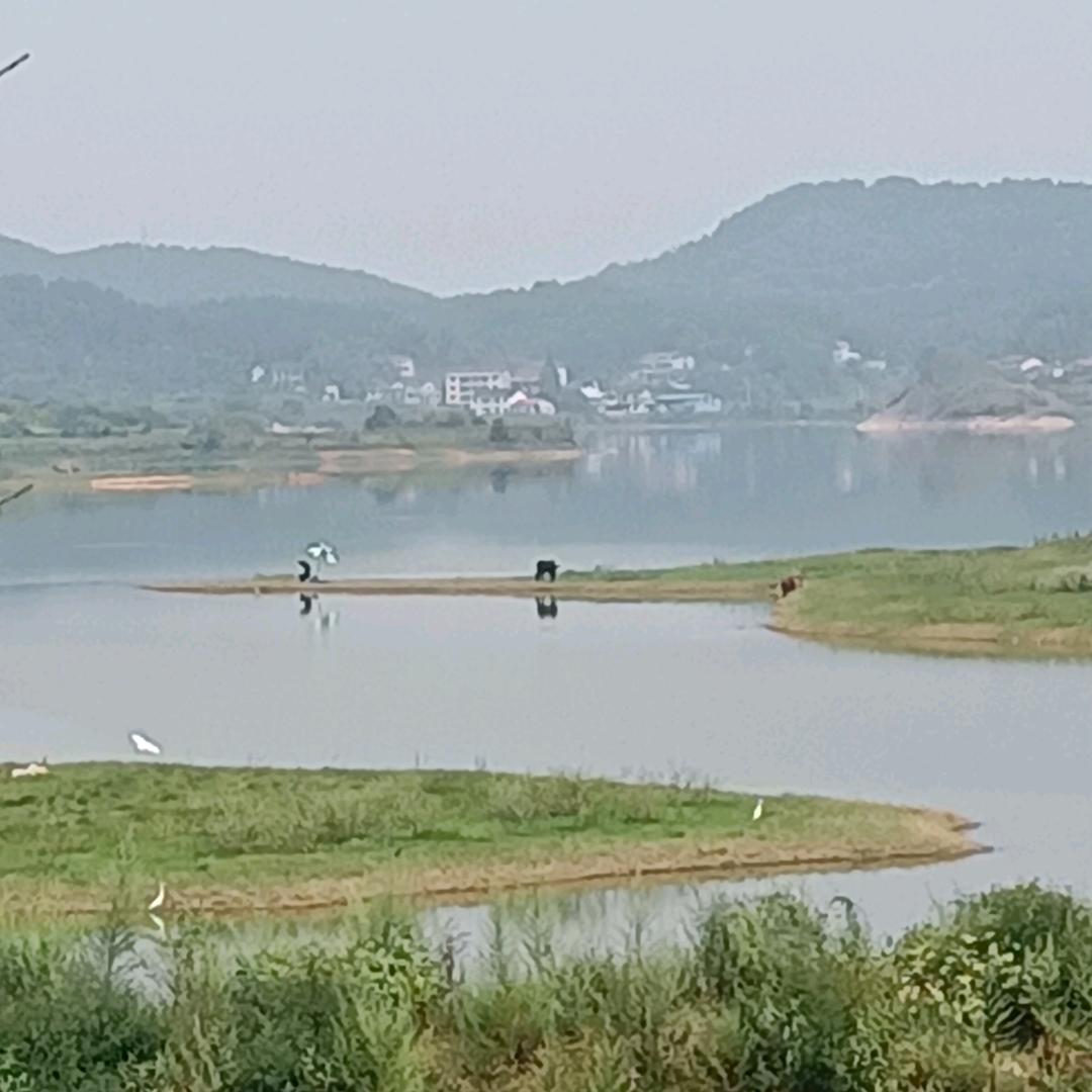 崇山水库休闲垂钓营地
