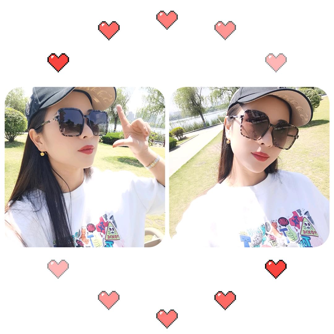 😽猫姐姐