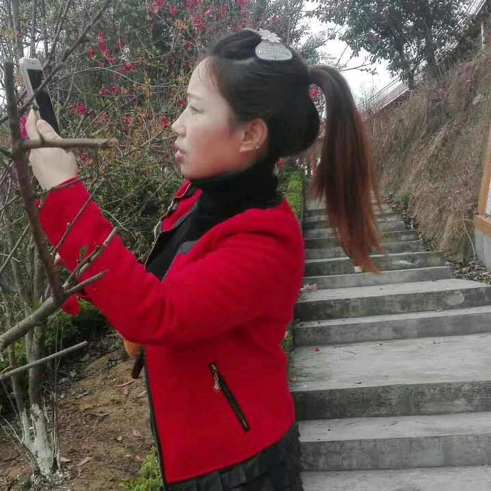 扯淡的人生