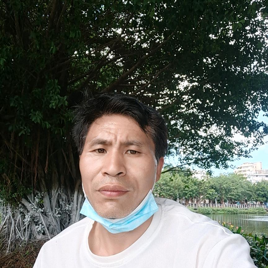 浪漫人生路