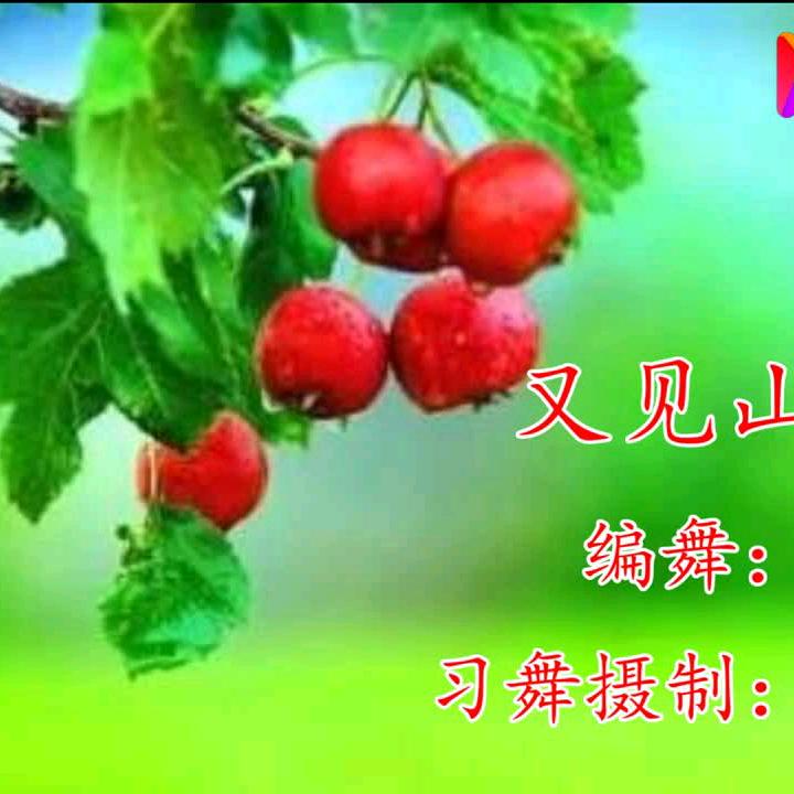 湉湉奶奶