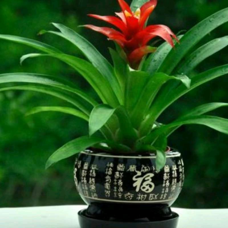 随遇而安