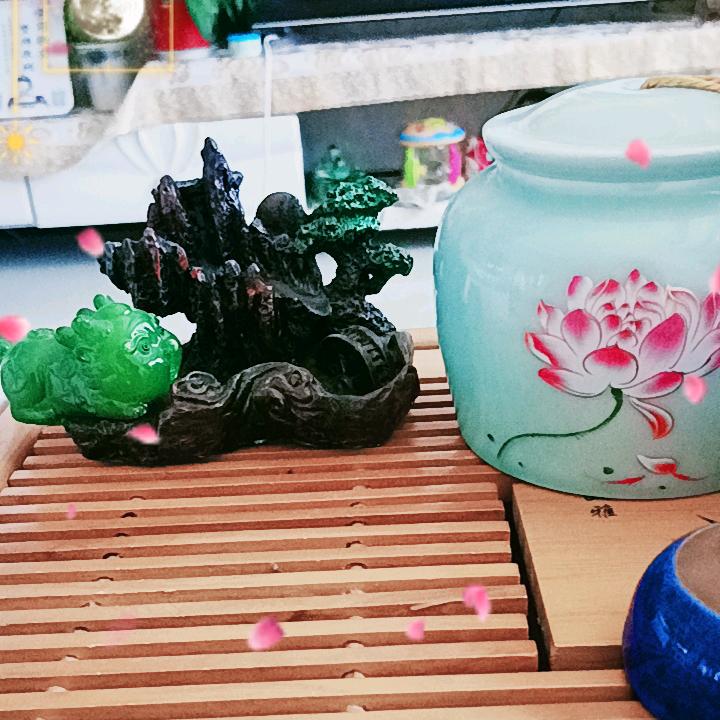 怡阙欧网络科技工作室