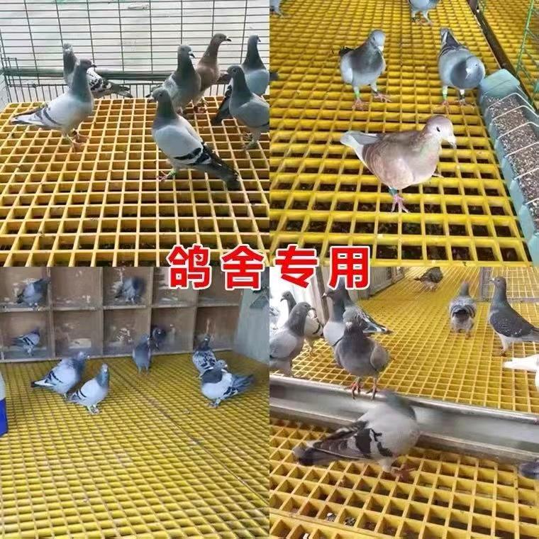 养殖网 网片厂家～欢欢