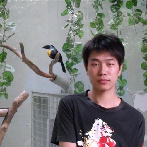 小杨哥