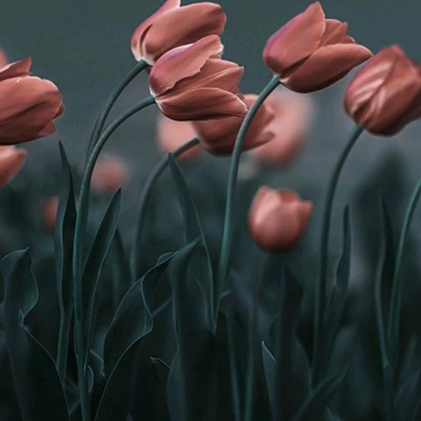 ☔ 遇见🈶缘☔