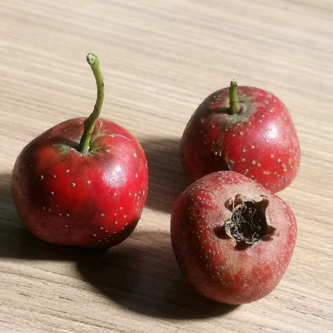 有亿思