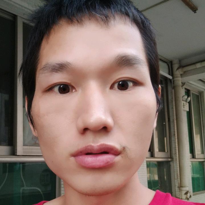 飞鹏