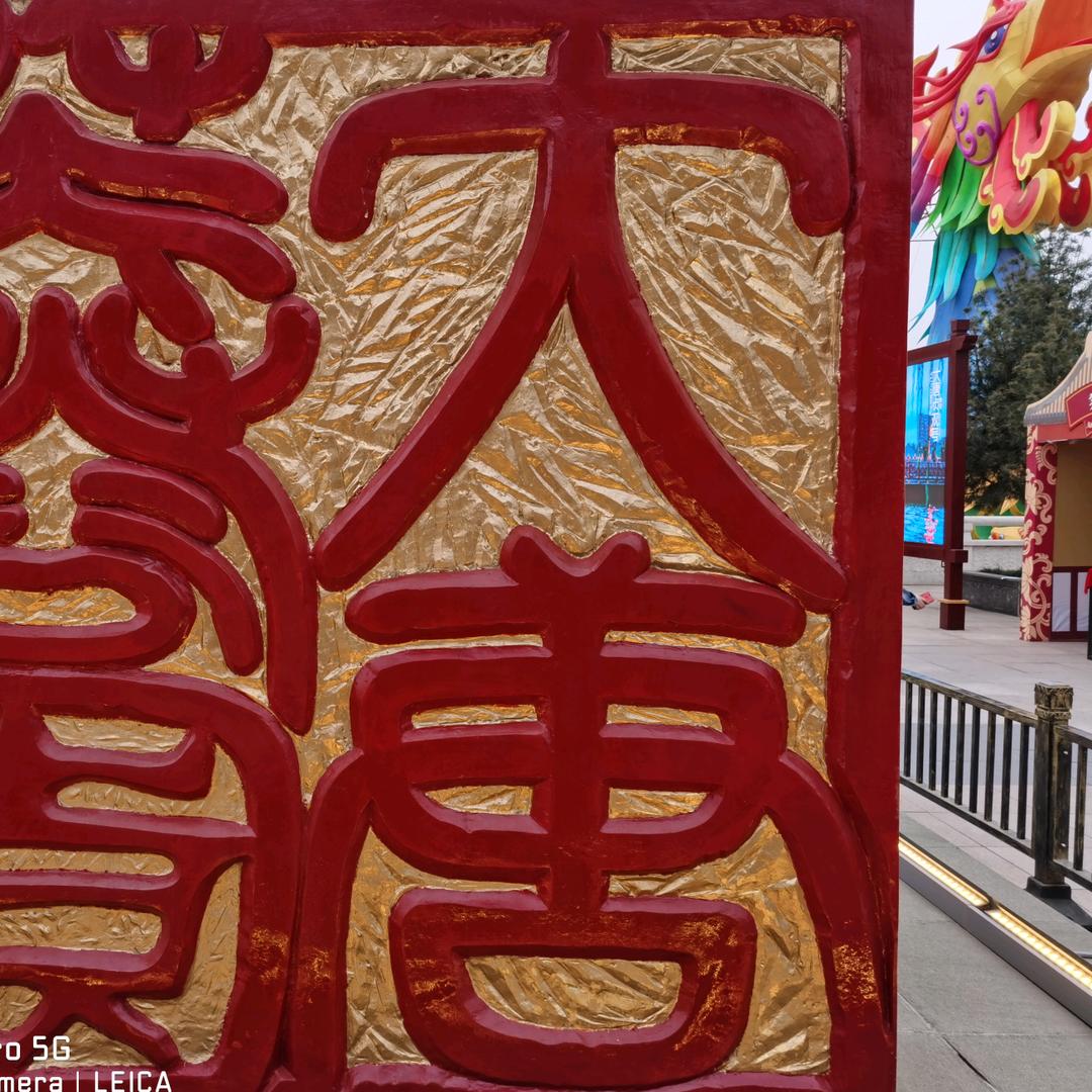 陕西特产龙飞白水