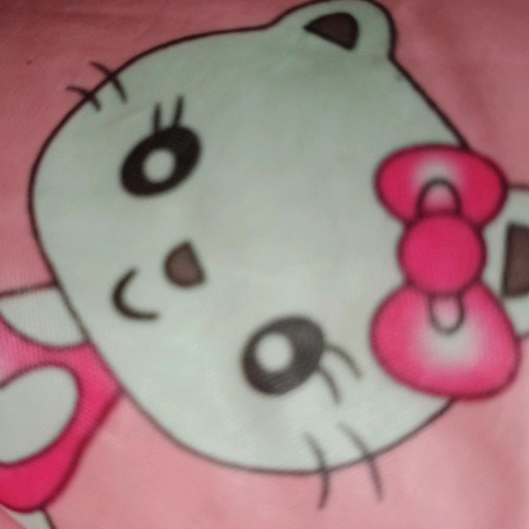 小兔子🐰