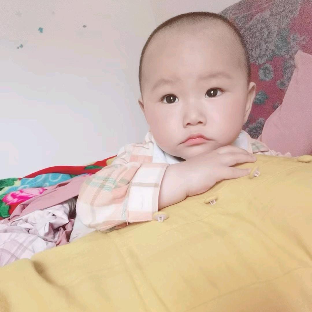 朱辉、