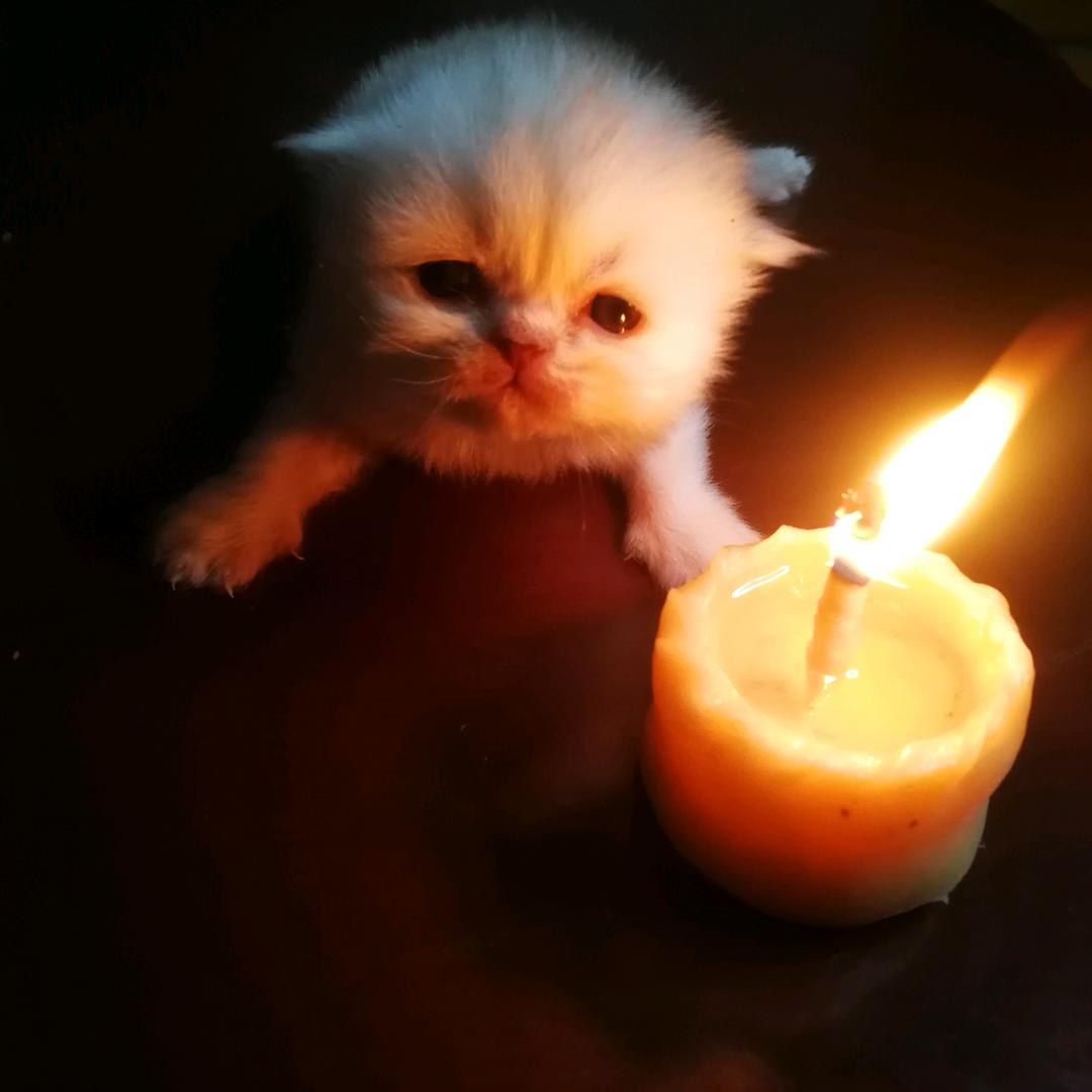 懒惰