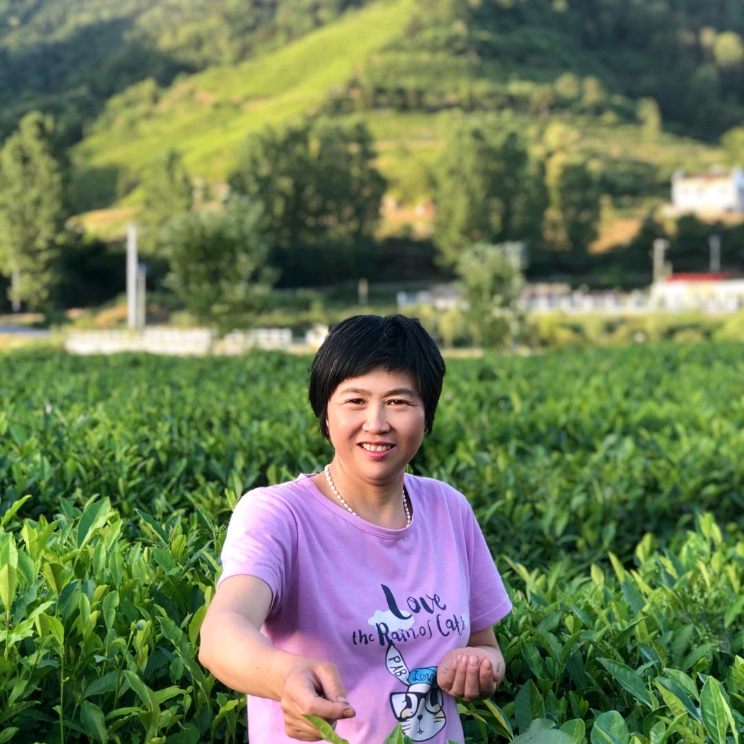 平利县女娲秦巴山茶业