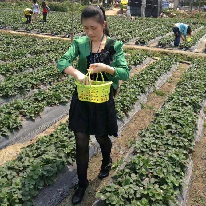 丽丽（拒绝私聊）