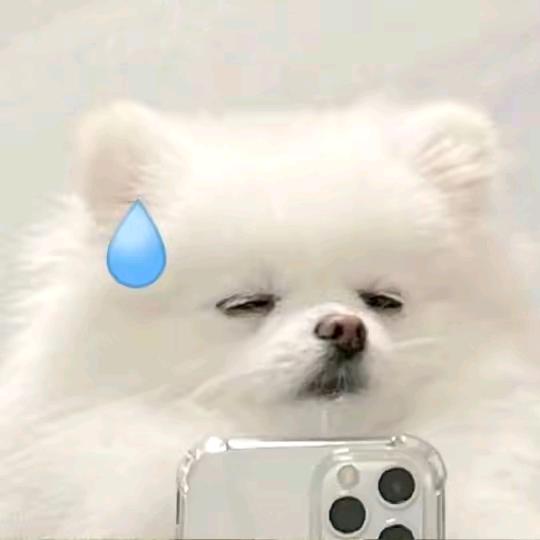 林一。