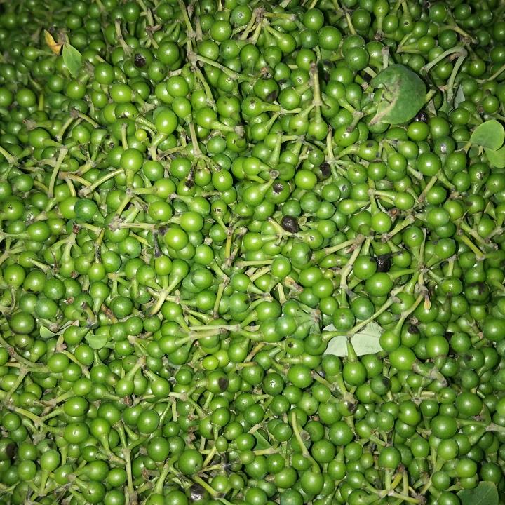 现在自己怎么开心，怎么玩