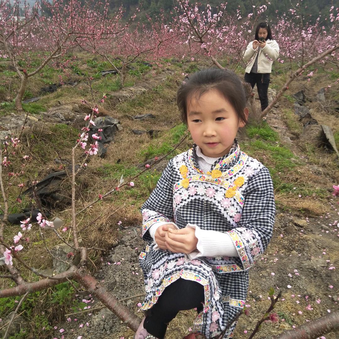 梦在