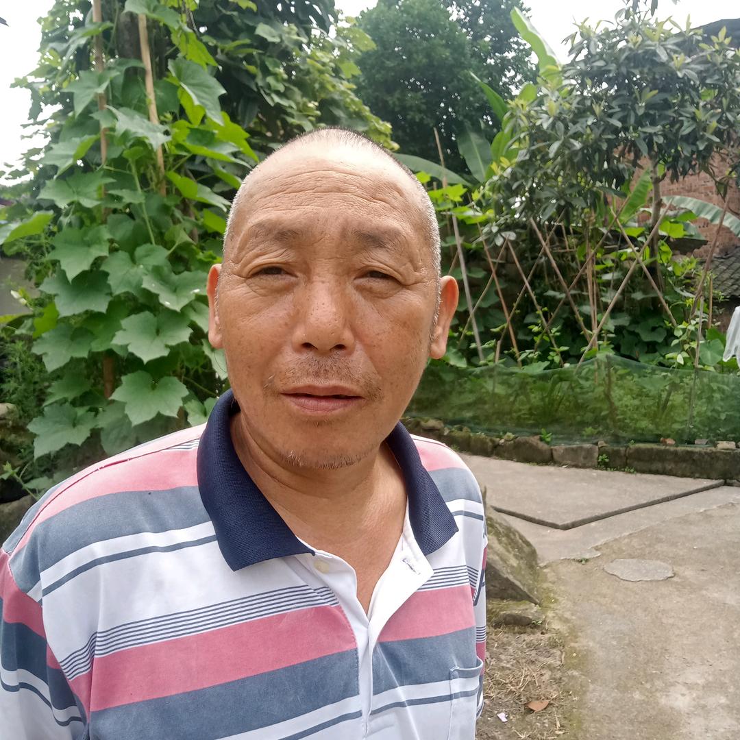 琪哥
