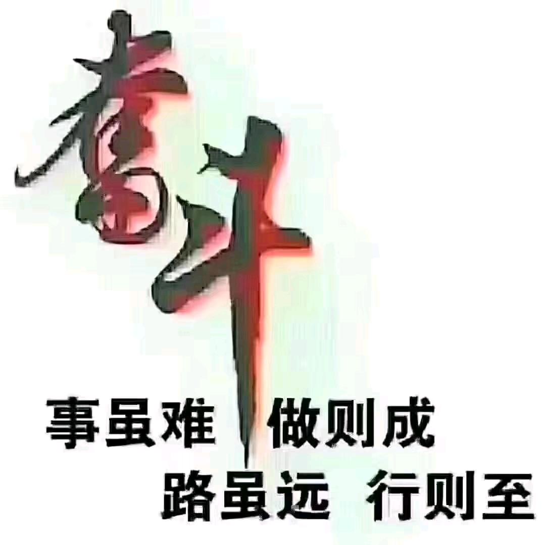 领航者
