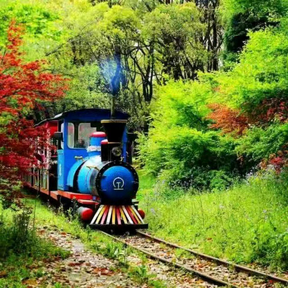 新景