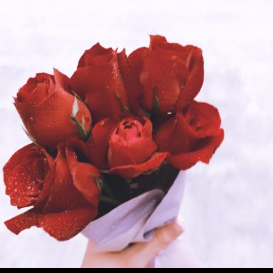 释怀首播下午l点10分