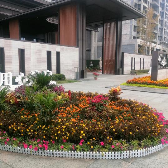 花开花落