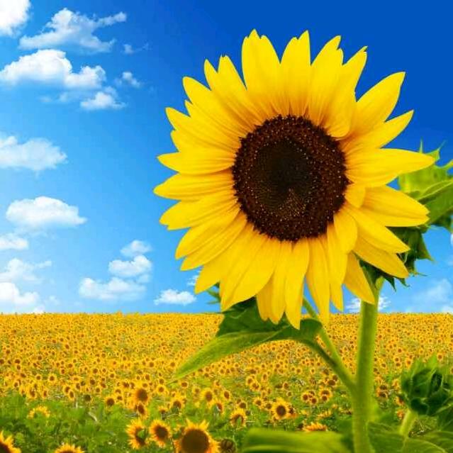 领悟💃💃🧚‍♂️🧚‍♂️