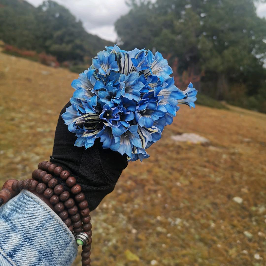 人在做天在看✅