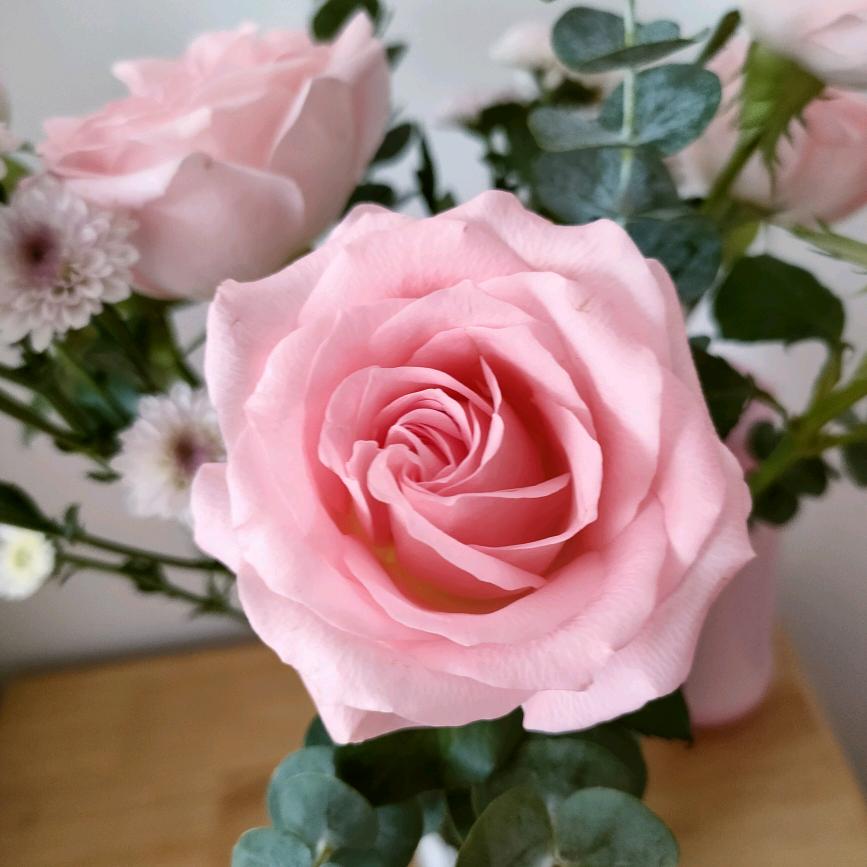 ꧁༺花香༒洇染༻꧂