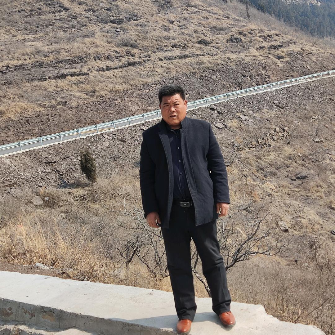 律动人生