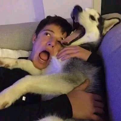 十一。