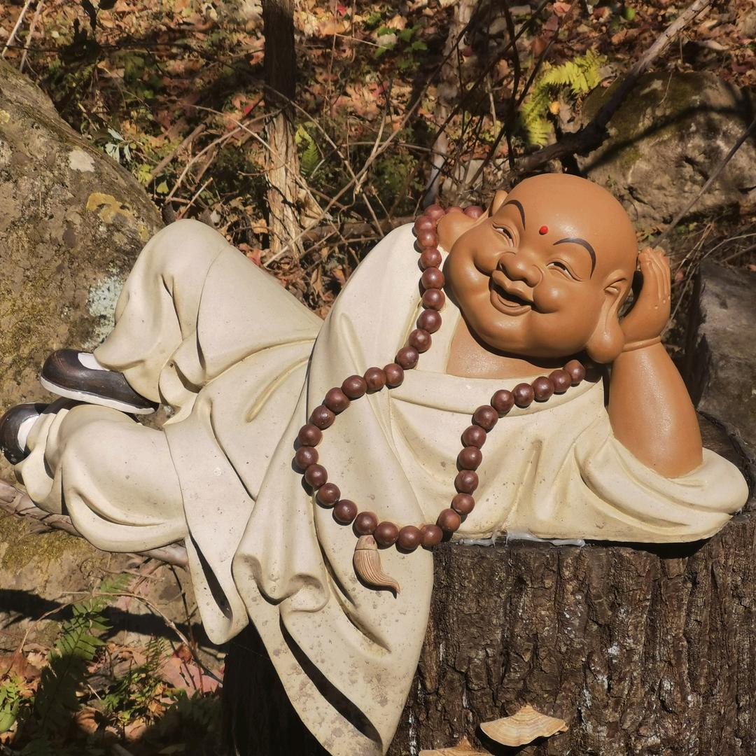 才加贝