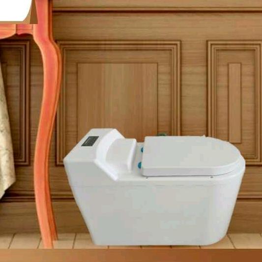 立澳邦生物降解马桶