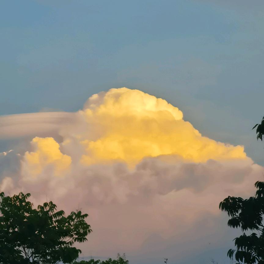 ℳ̶̶̶̶໌꧔ꦿ纯路人*꯭͡꧔ꦿ᭄ℳ