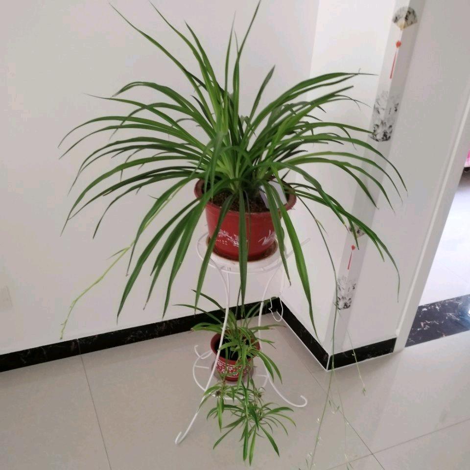 再次握住你的手